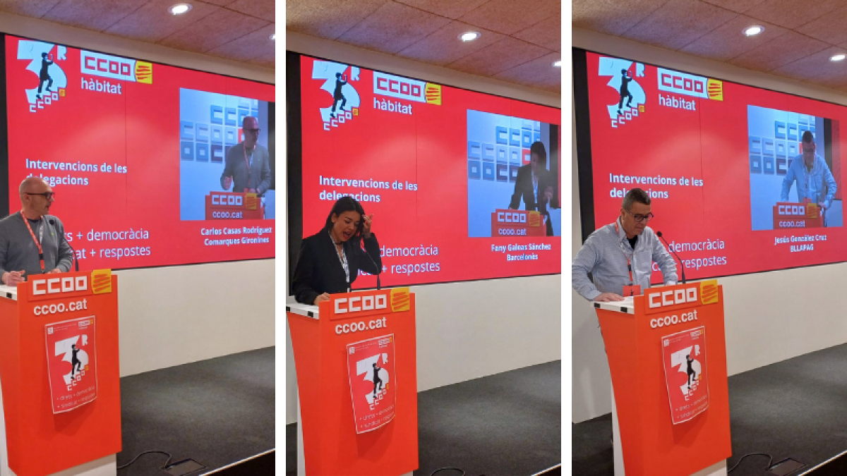 Intervencions de les delegacions sobre l'informe de balanç