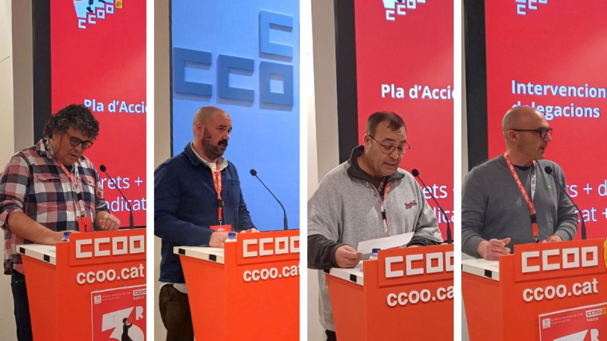 Intervencions de les delegacions sobre el Pla d'acció